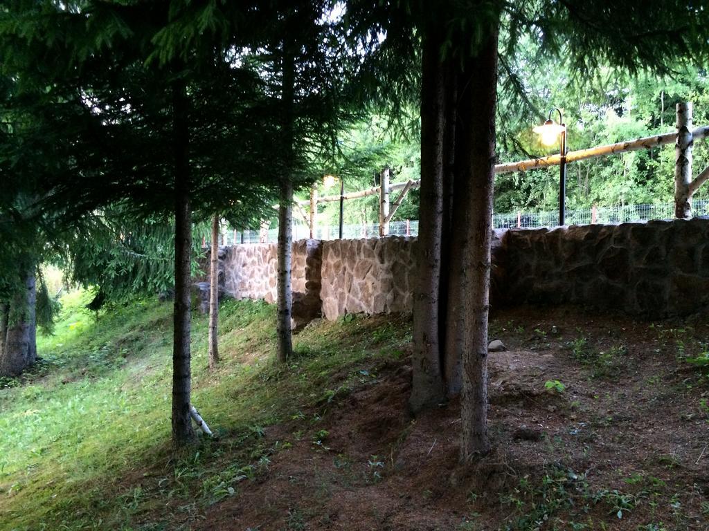 Casa Laur Cu Plaja Privata Hotel Colibita Luaran gambar