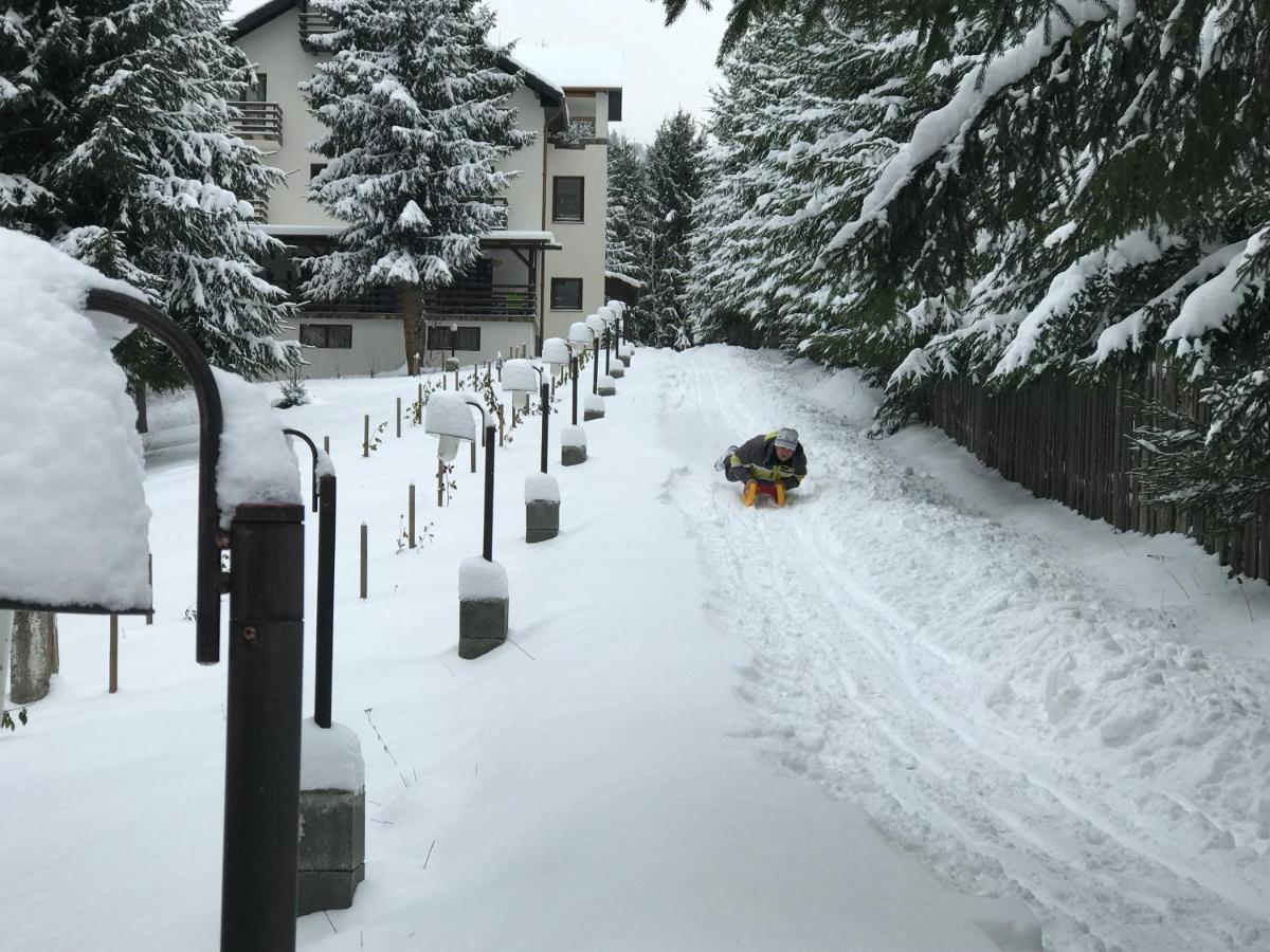Casa Laur Cu Plaja Privata Hotel Colibita Luaran gambar